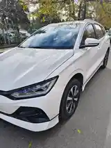 BYD E2, 2023-2