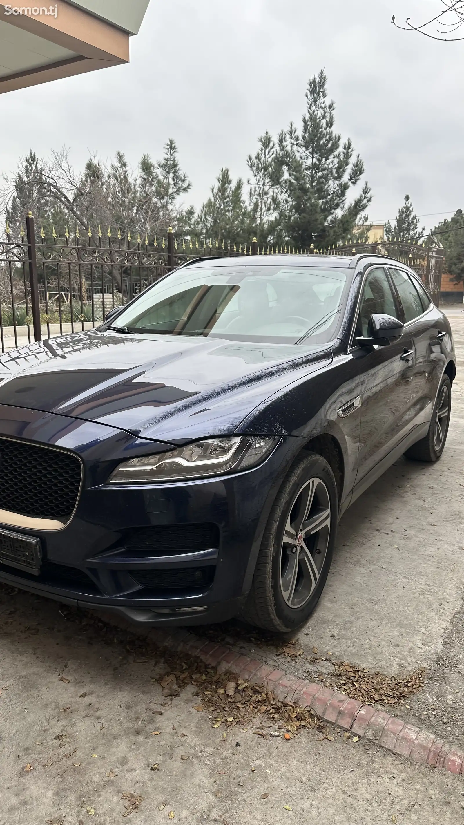 Jaguar F Pace, 2018-1