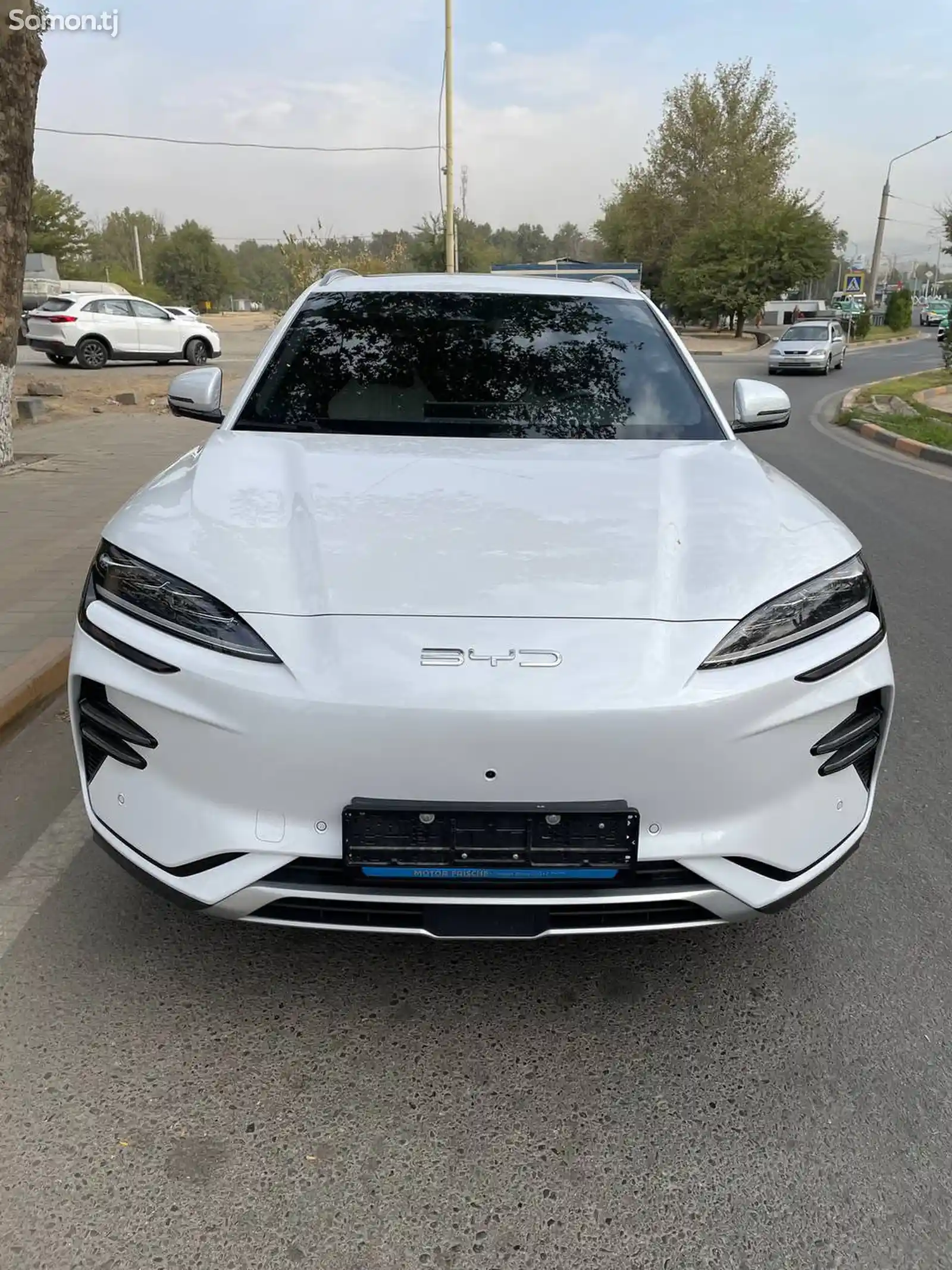 BYD Song Plus Flagship, 2024-1