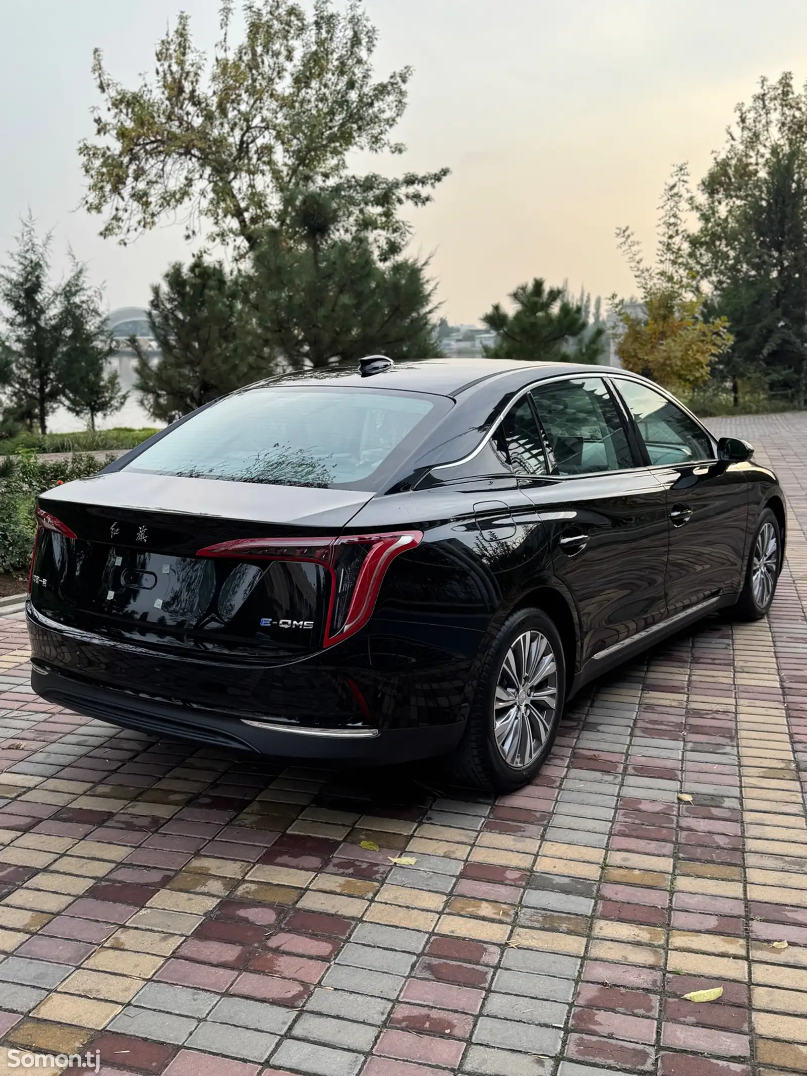 Hongqi E-QM5, 2024-6