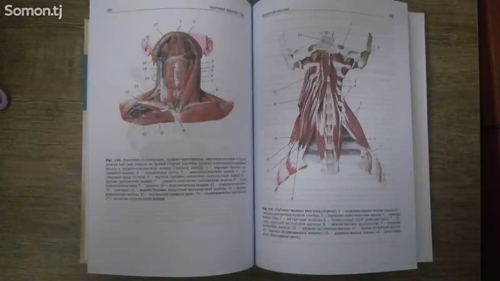 Книга Анатомия Человека Том 1-2-2