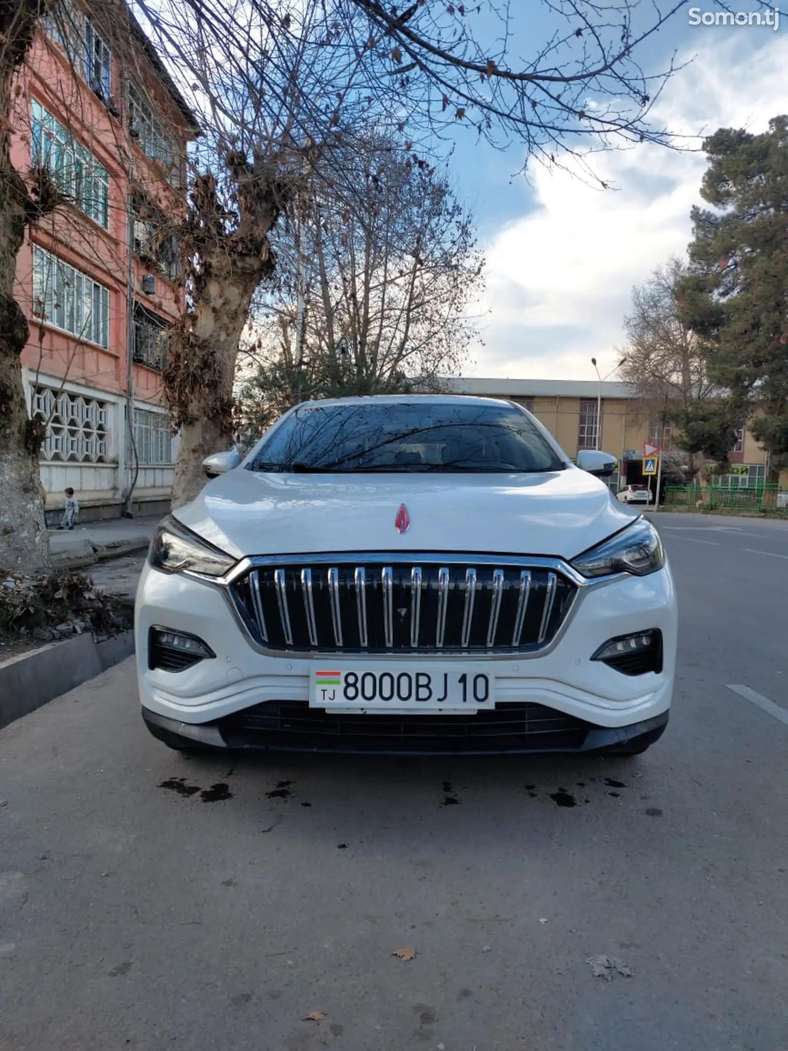 Hongqi E-HS3, 2019-1