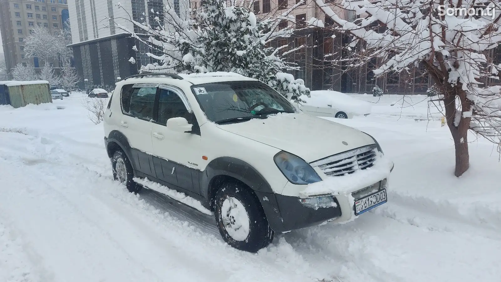 Ssang Yong Rexton, 2003-1