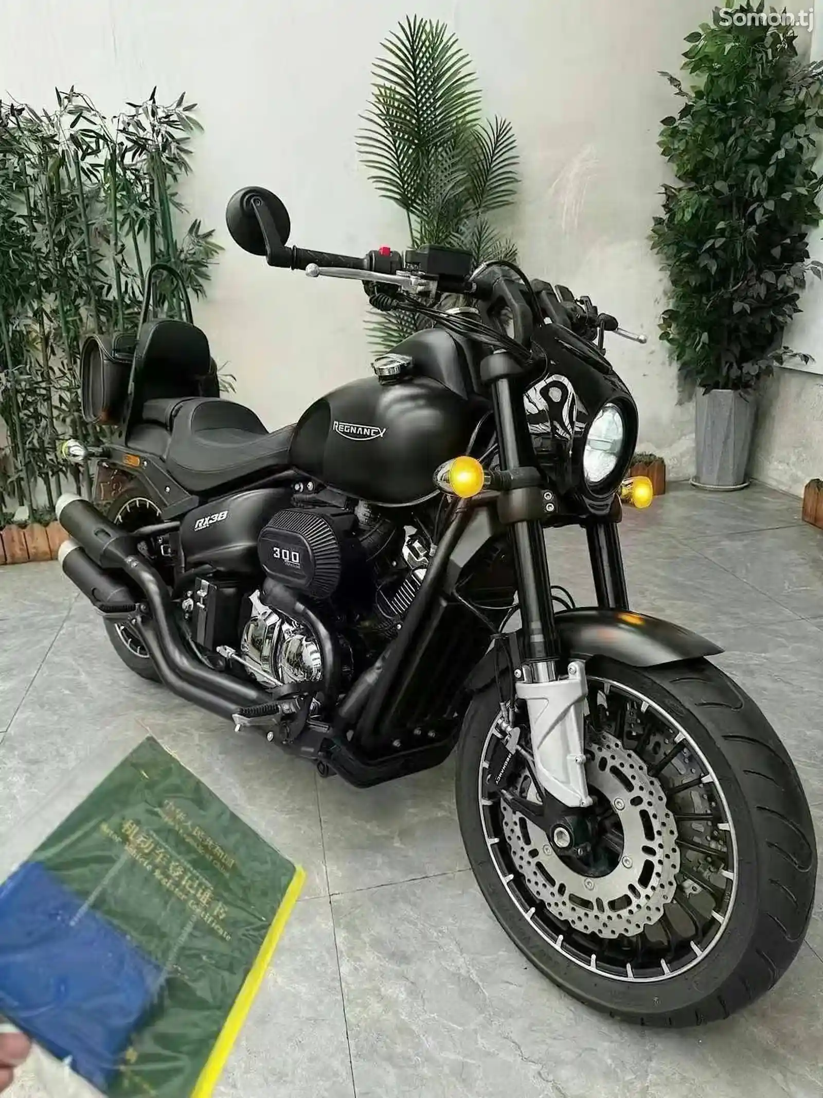 Мотоцикл Regnancy RX300 ABS на заказ-3