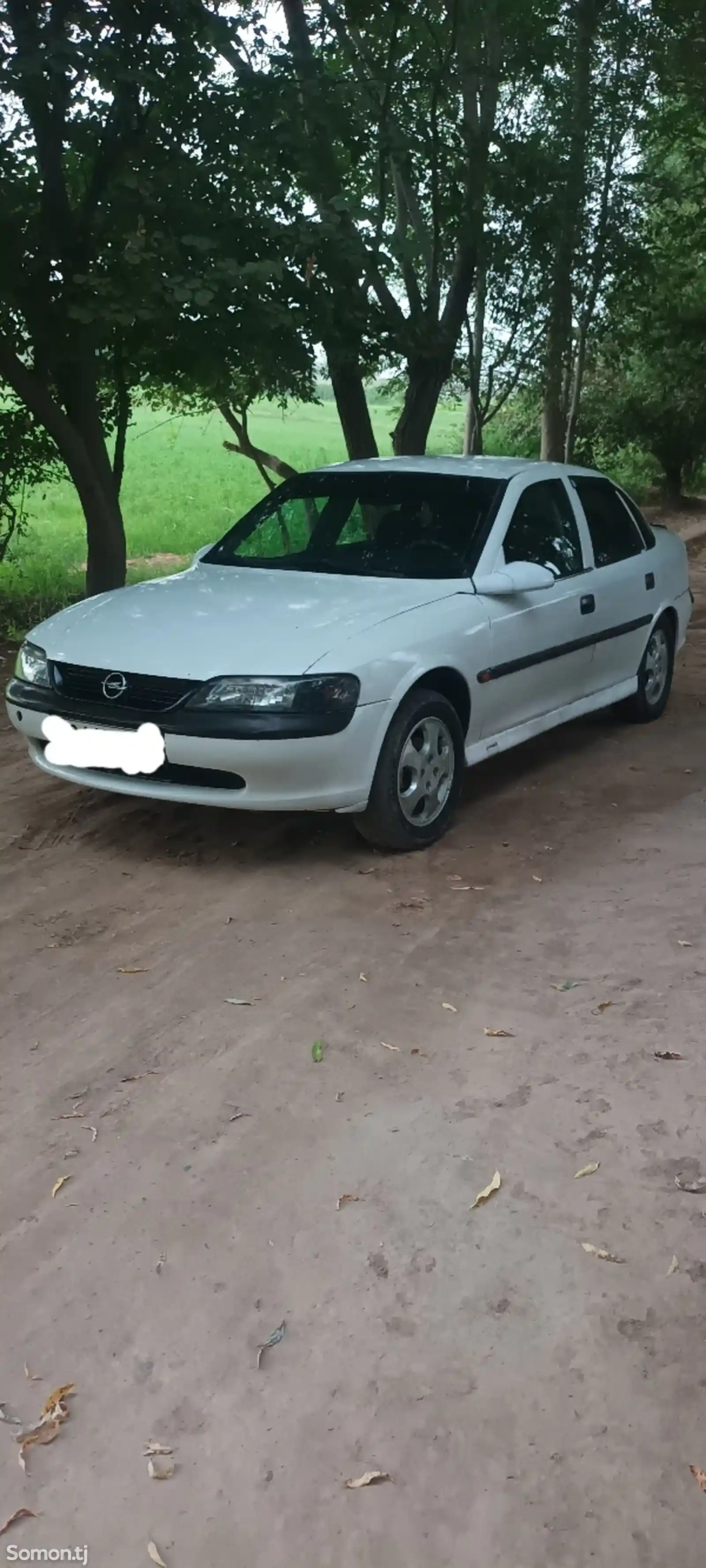 Opel Vectra B, 1996-1