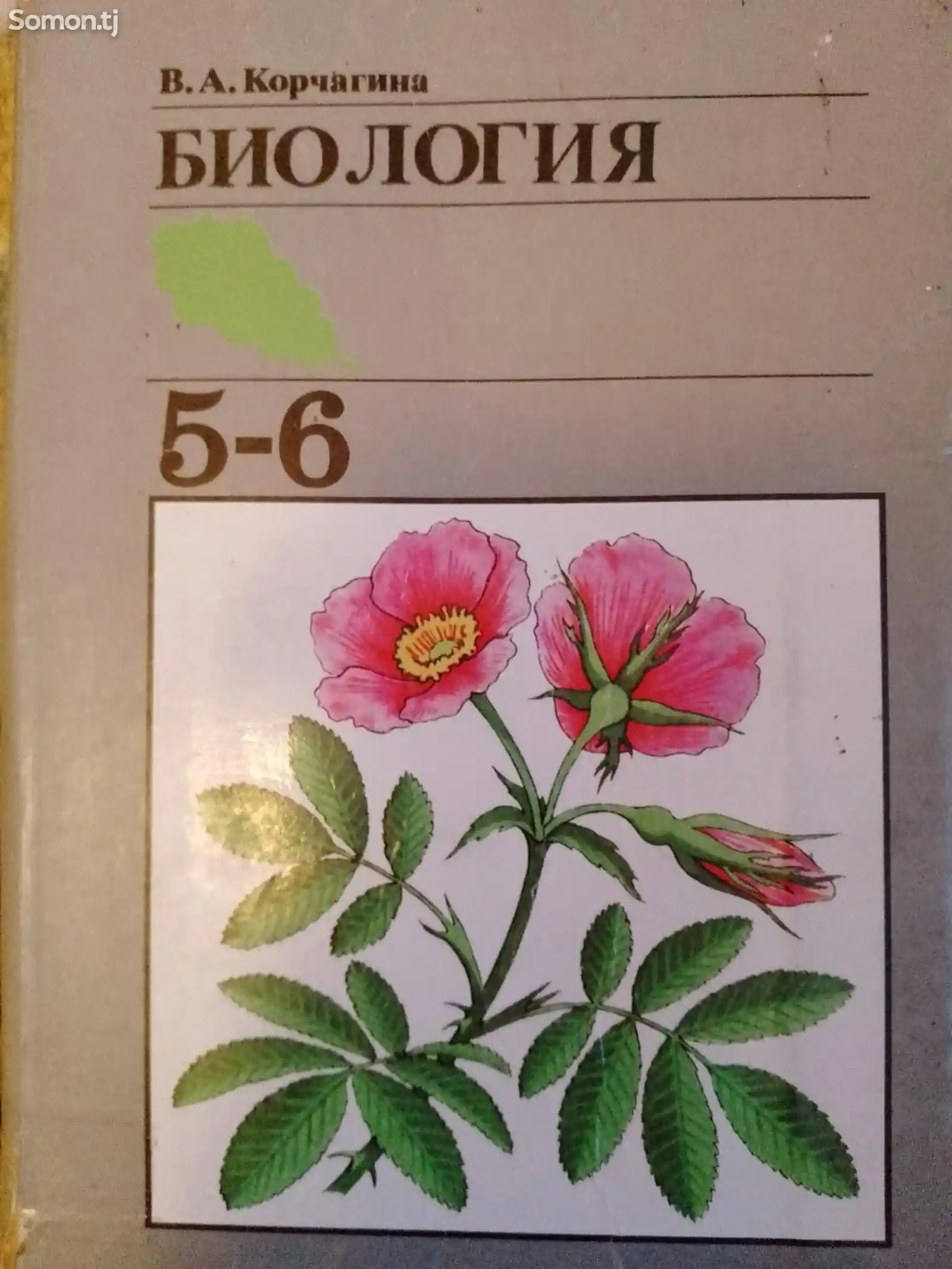 Книга по биологии для 5-6 класса на русском-1