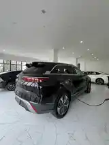 BYD Другие модели, 2023-3