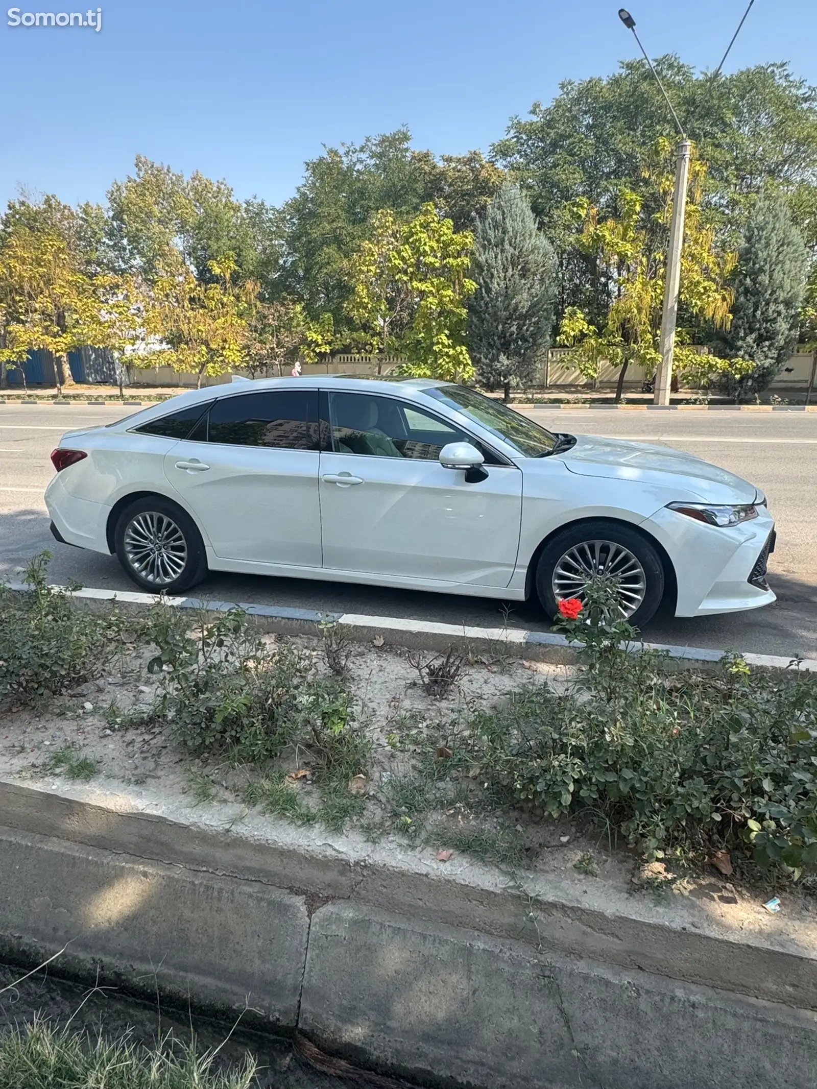 Toyota Avalon, 2019-1