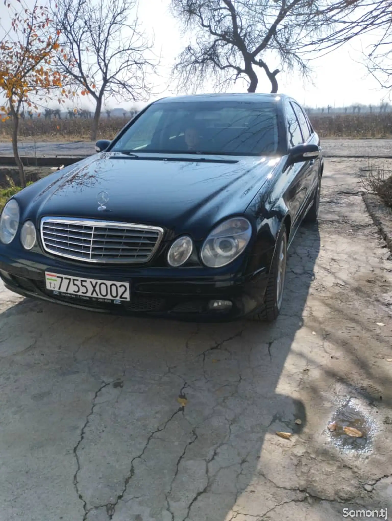 Mercedes-Benz E class, 2006-1