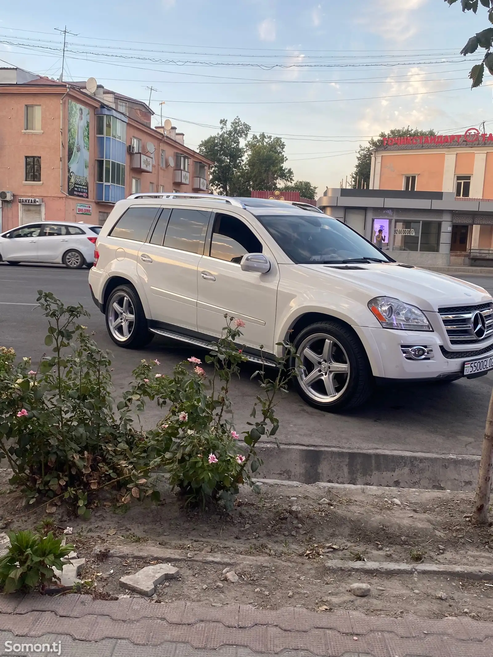 Mercedes-Benz GL class, 2009-1