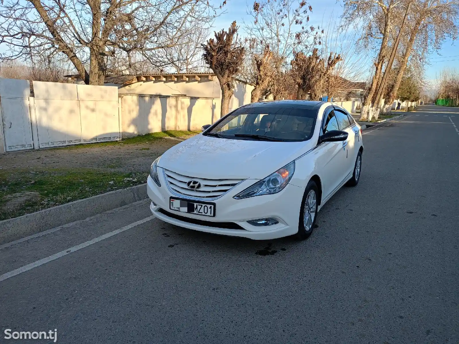 Hyundai Sonata, 2011-1