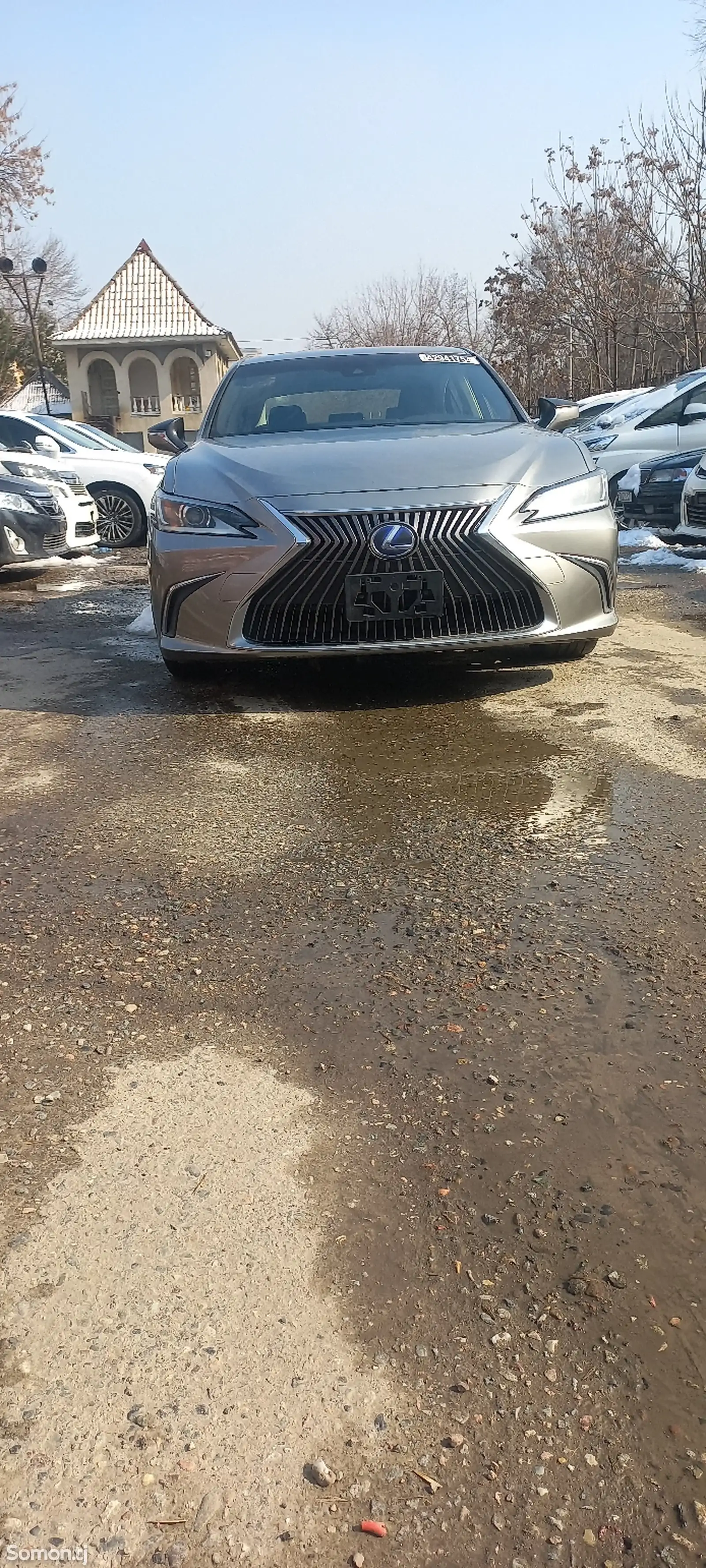 Lexus HS series, 2019-1