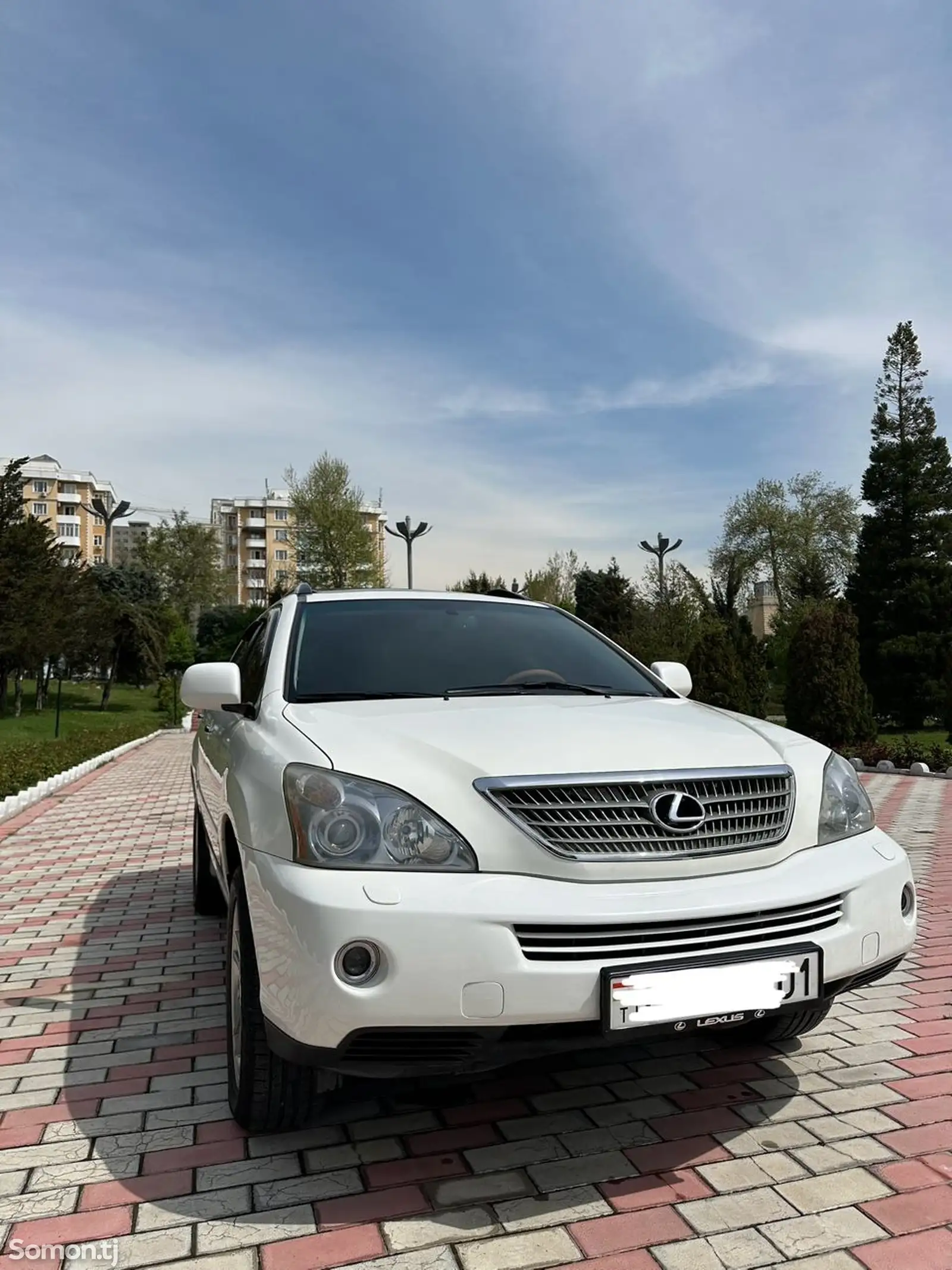 Lexus RX series, 2009-1