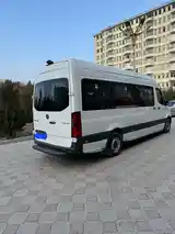 Mercedes Benz Sprinter, 2019-4