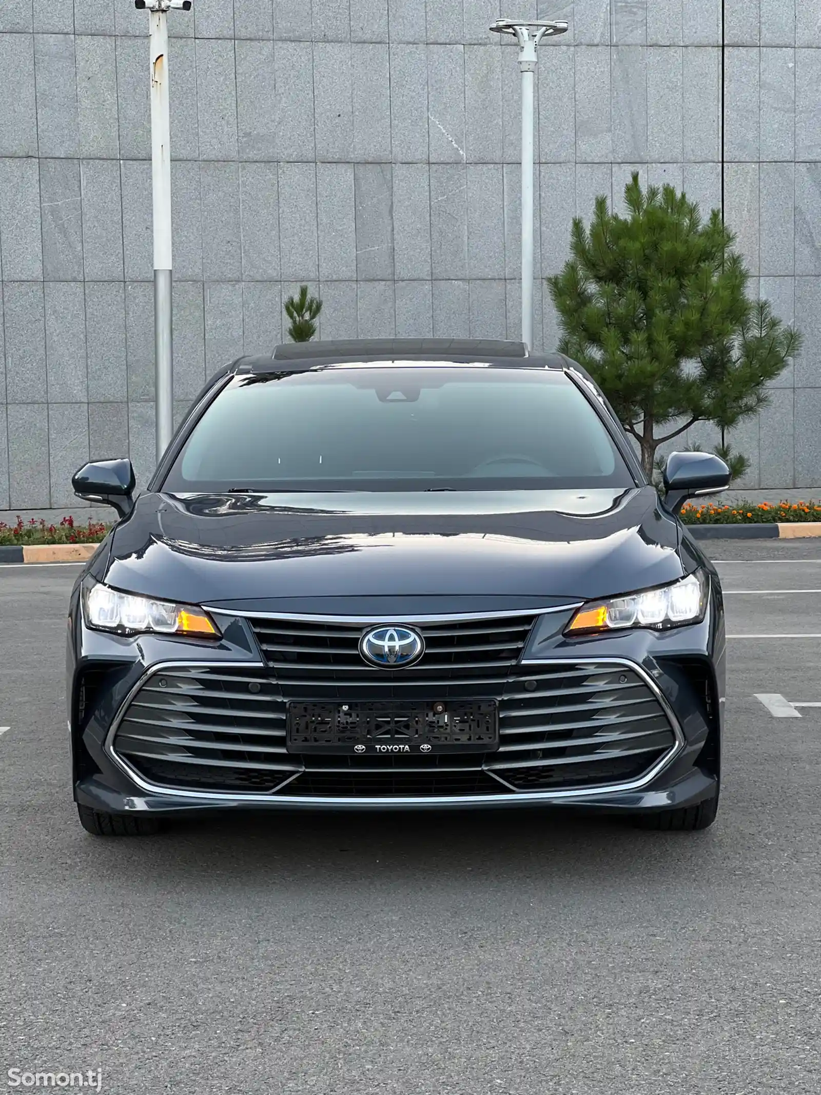 Toyota Avalon, 2019-1