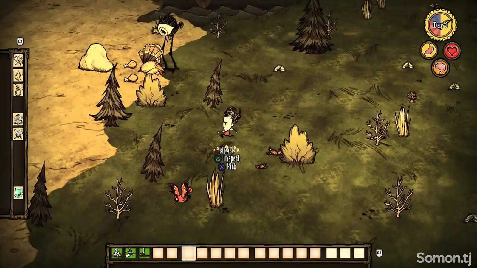 Игра Dont starve together console edition для PS-4 / 5.05 / 6.72 / 7.02 / 9.00 /-2