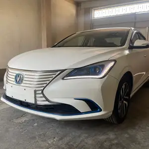 Changan Eado, 2020