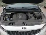 Kia Carnival, 2017-11