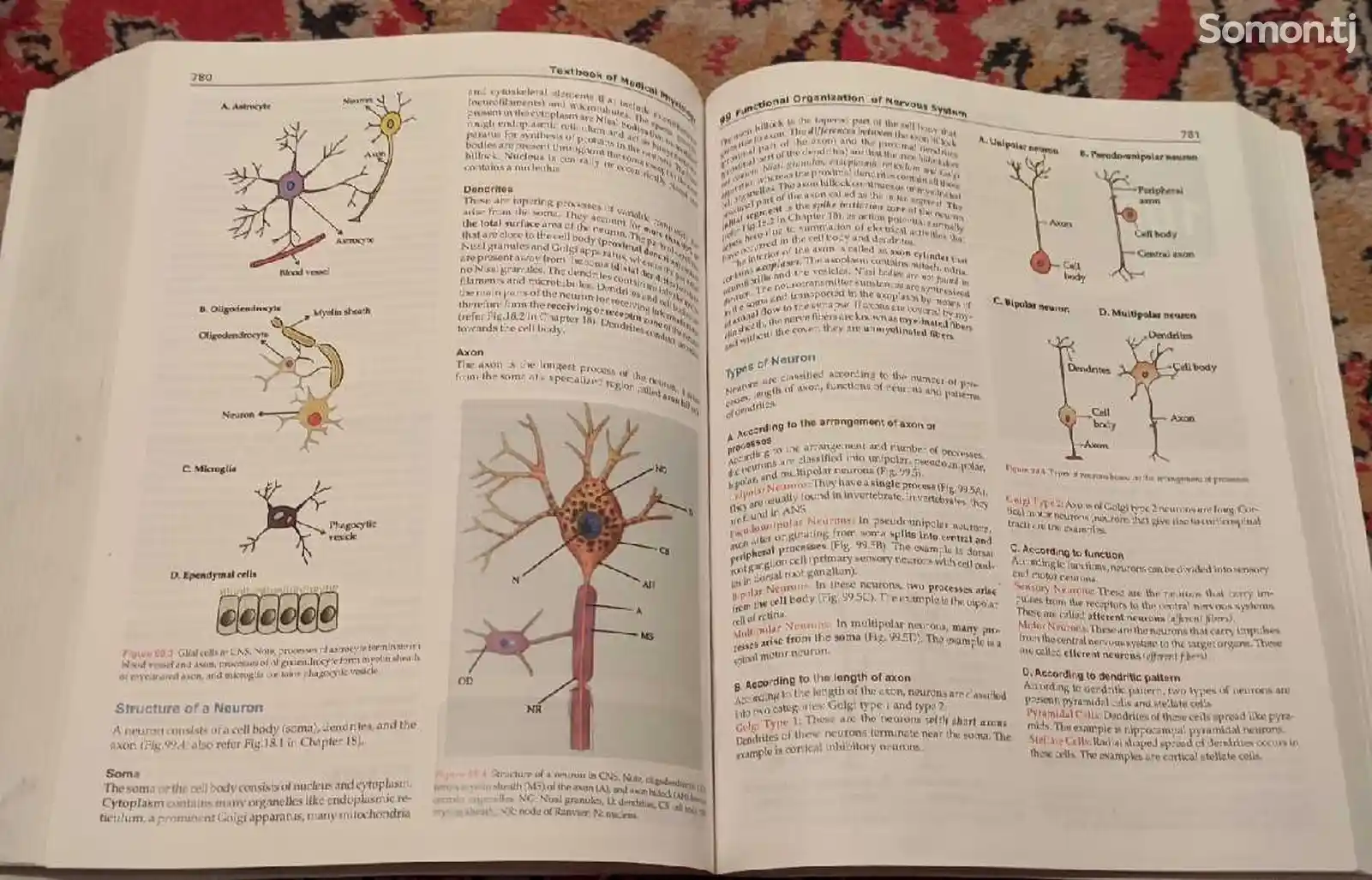 Книга Medical Physiology-6