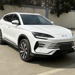 BYD Song Plus Flagship, 2024