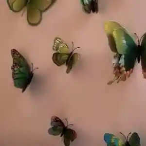 Настенные бабочки