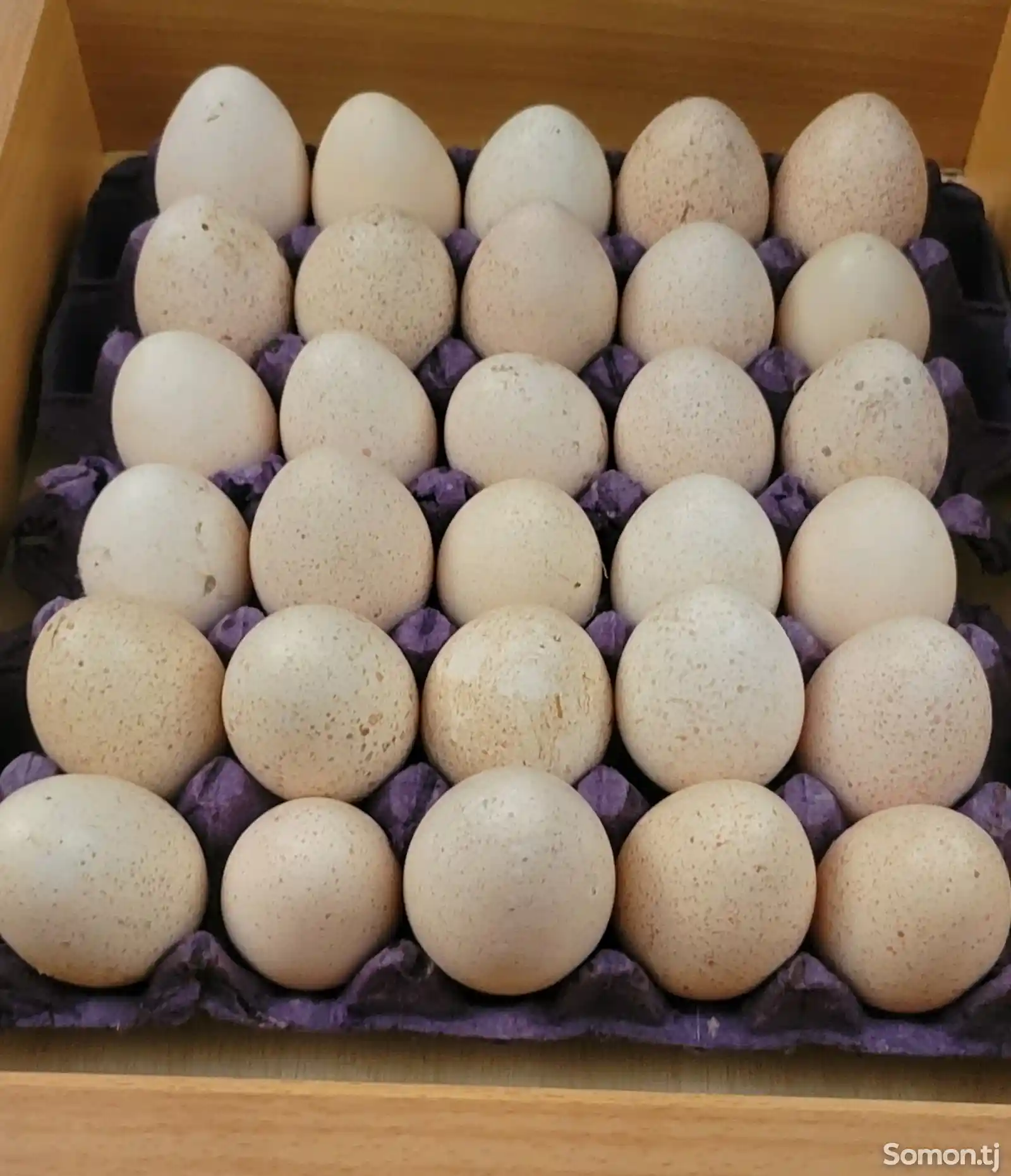 Яйца для инкубации индюка-1