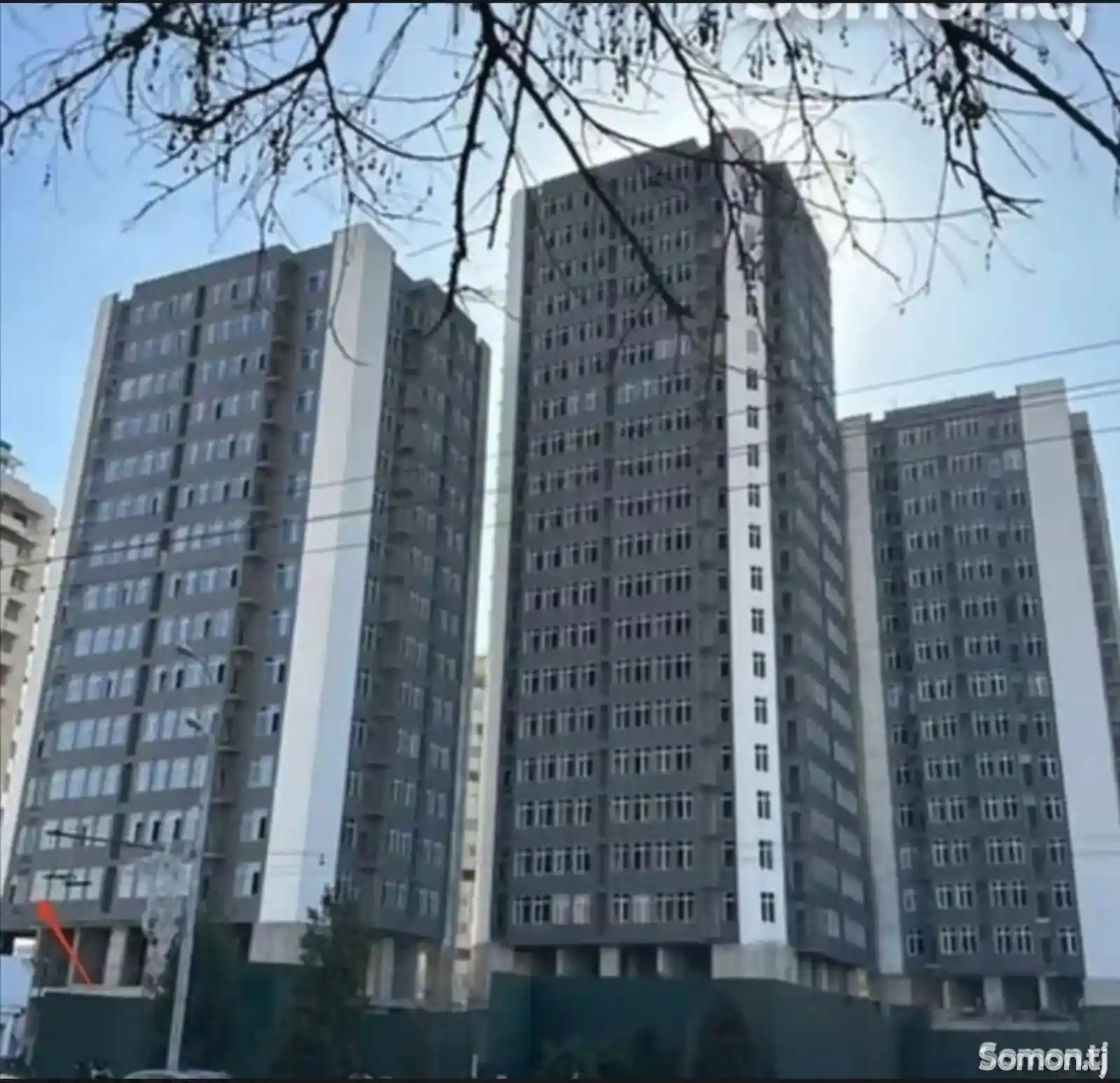 2-комн. квартира, 15 этаж, 56 м², Цирк, Фирдавси-6