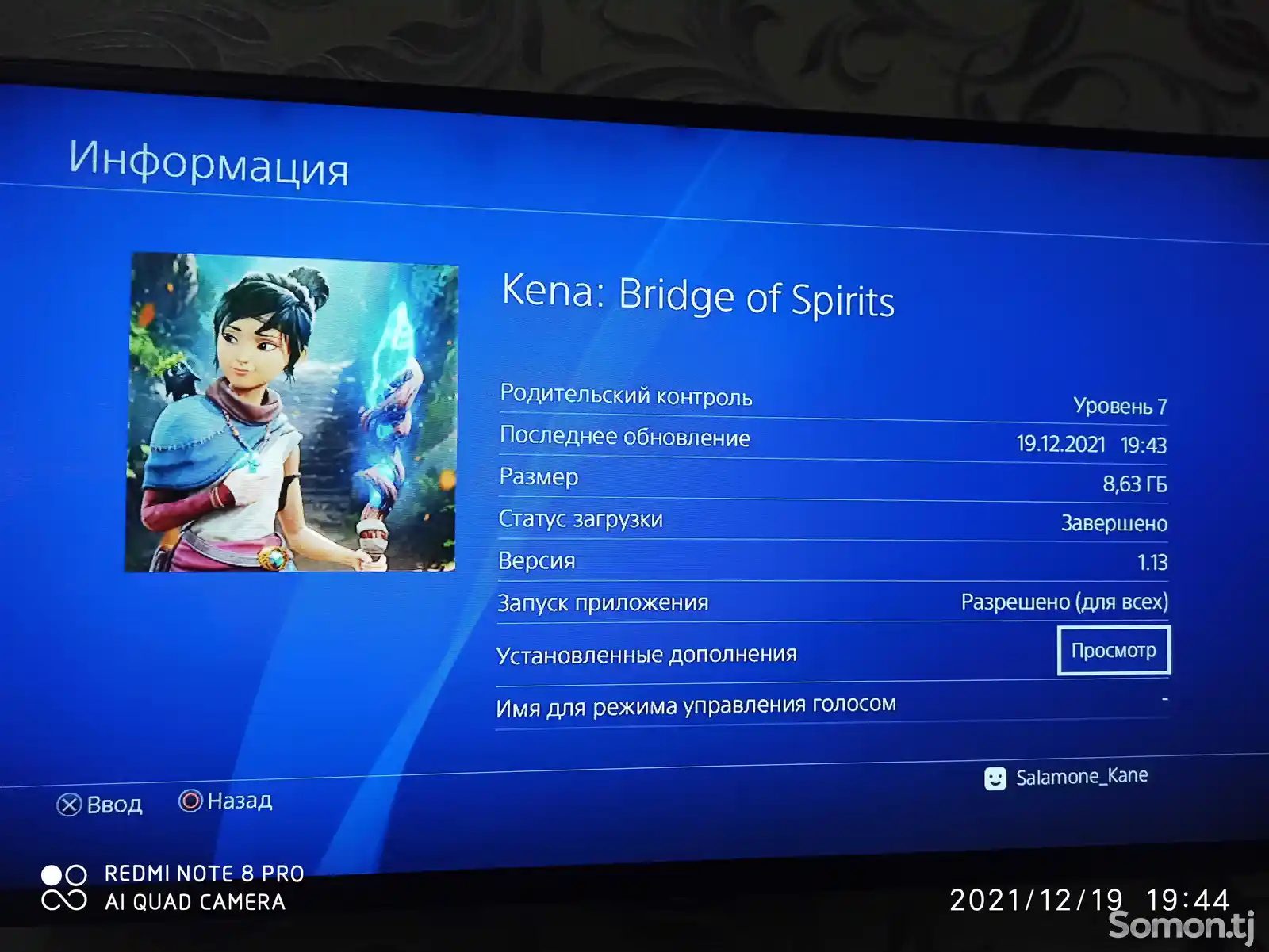 Игра Kena Bridge of Spirits Deluxe Edition для Sony PS4-2