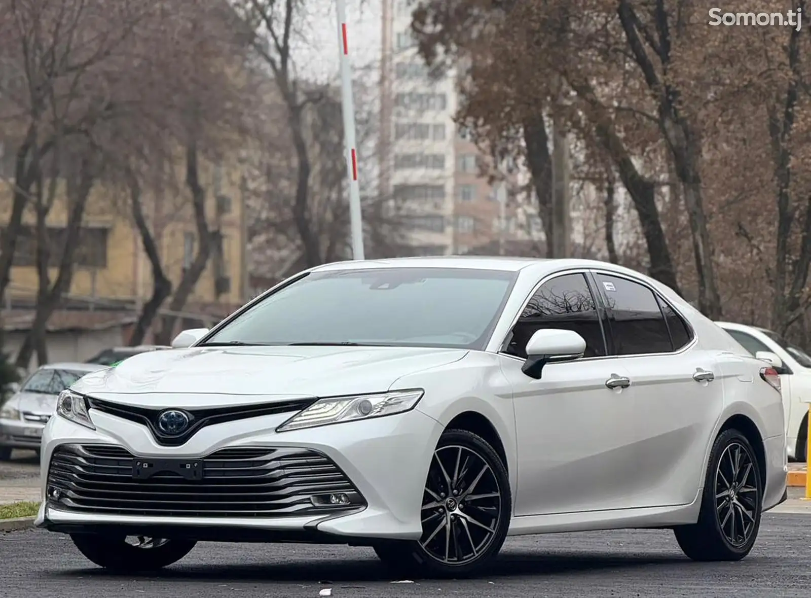 Toyota Camry, 2018-1