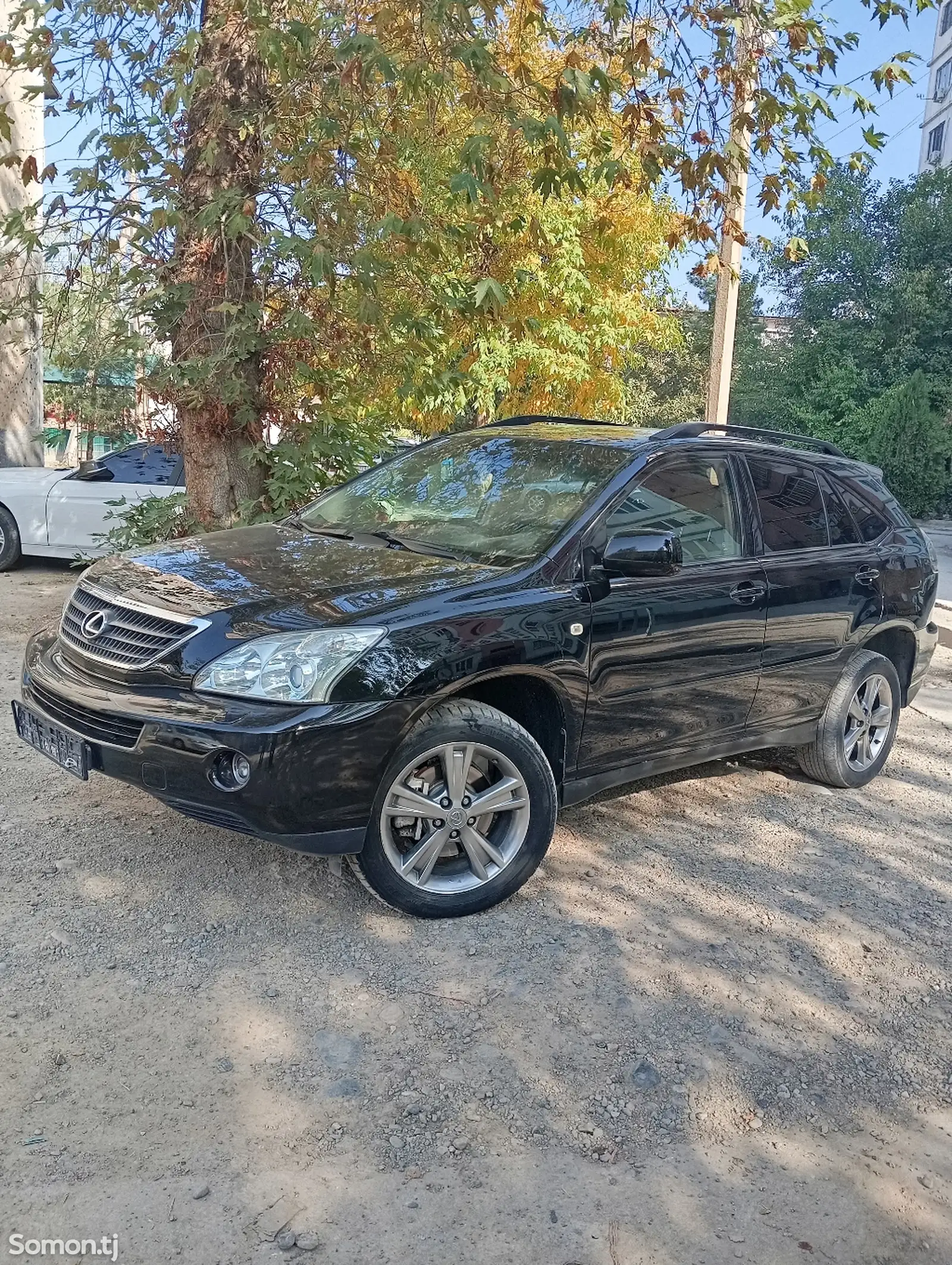 Lexus RX series, 2006-1