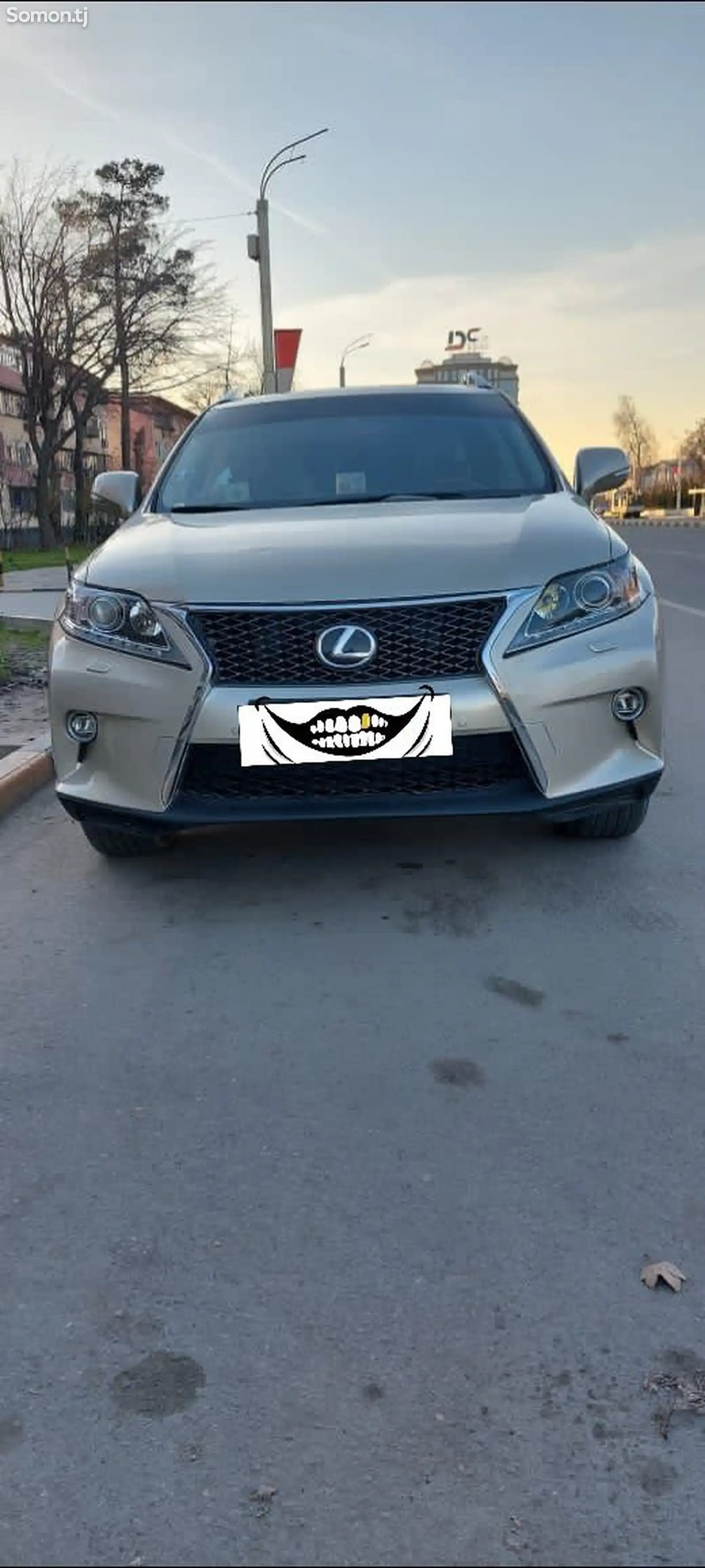 Lexus RX series, 2013-1