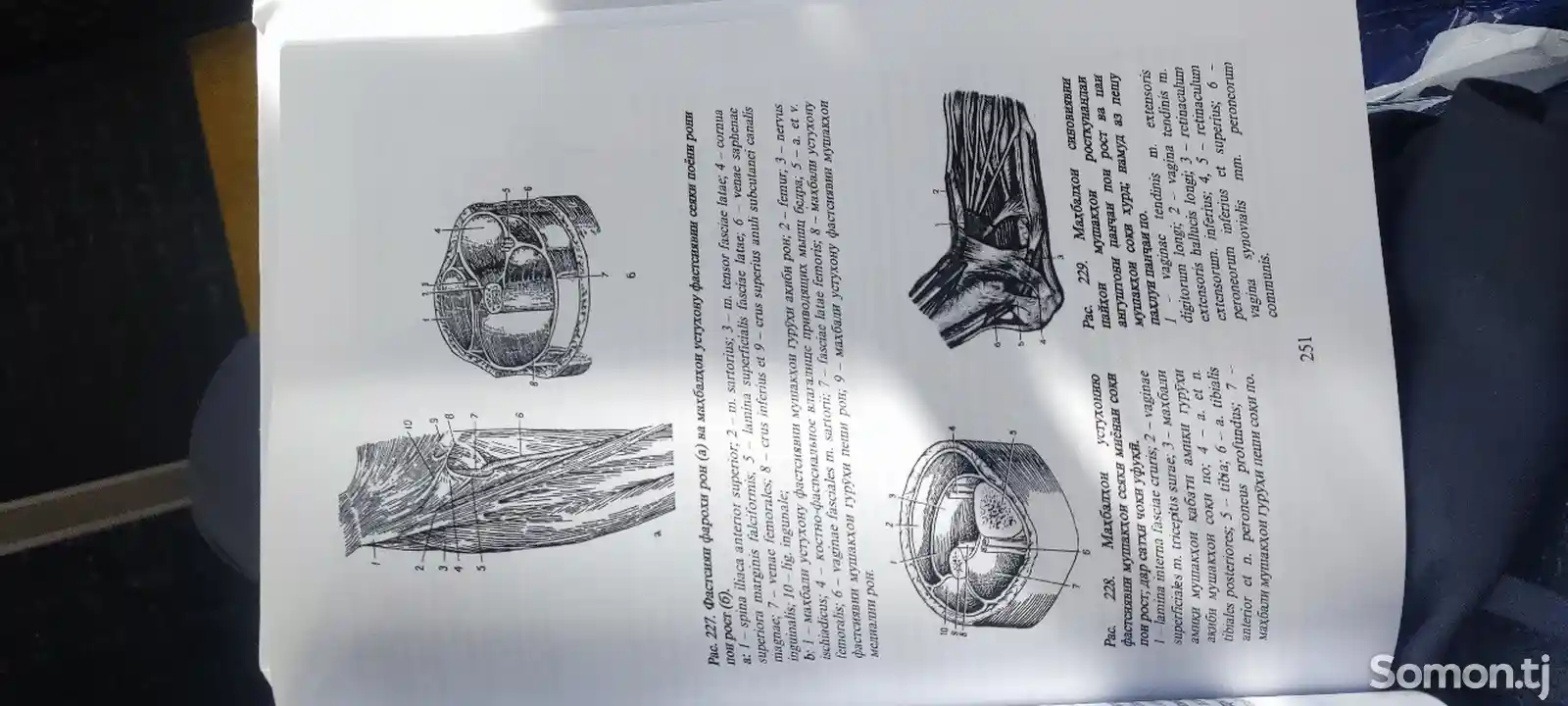 Учебник Анатомия Абдурахмонов-3