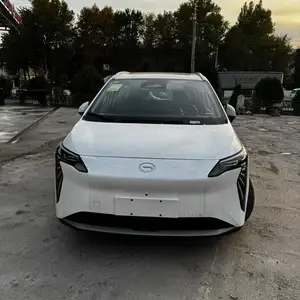 BYD Другие модели, 2024