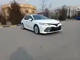 Toyota Camry, 2019-3