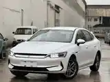 BYD Qin Plus, 2024-2