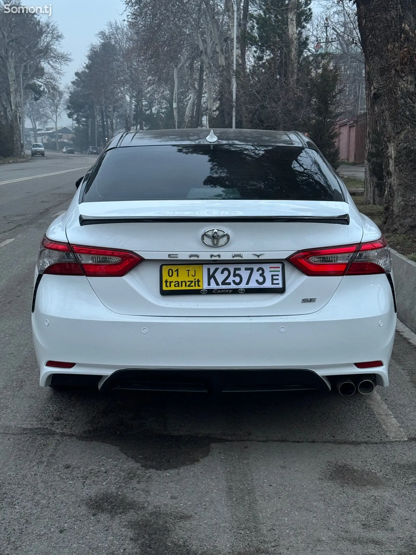 Toyota Camry, 2019-1