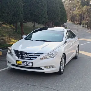 Hyundai Sonata, 2010