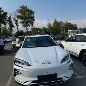 BYD Song Plus, 2024