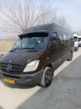 Микроавтобус Mercedes-Benz Sprinter, 2009-6