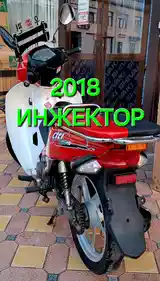 Скутер 2018-4