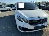 Kia Carnival, 2017-5