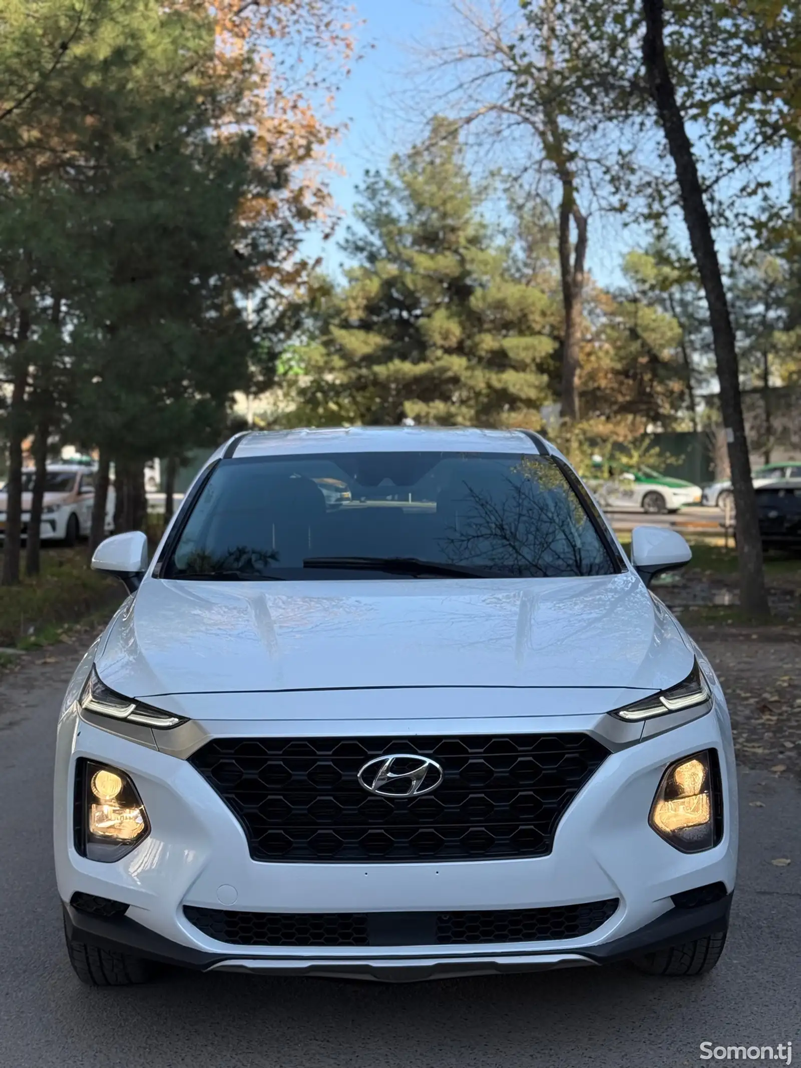 Hyundai Santa Fe, 2019-1