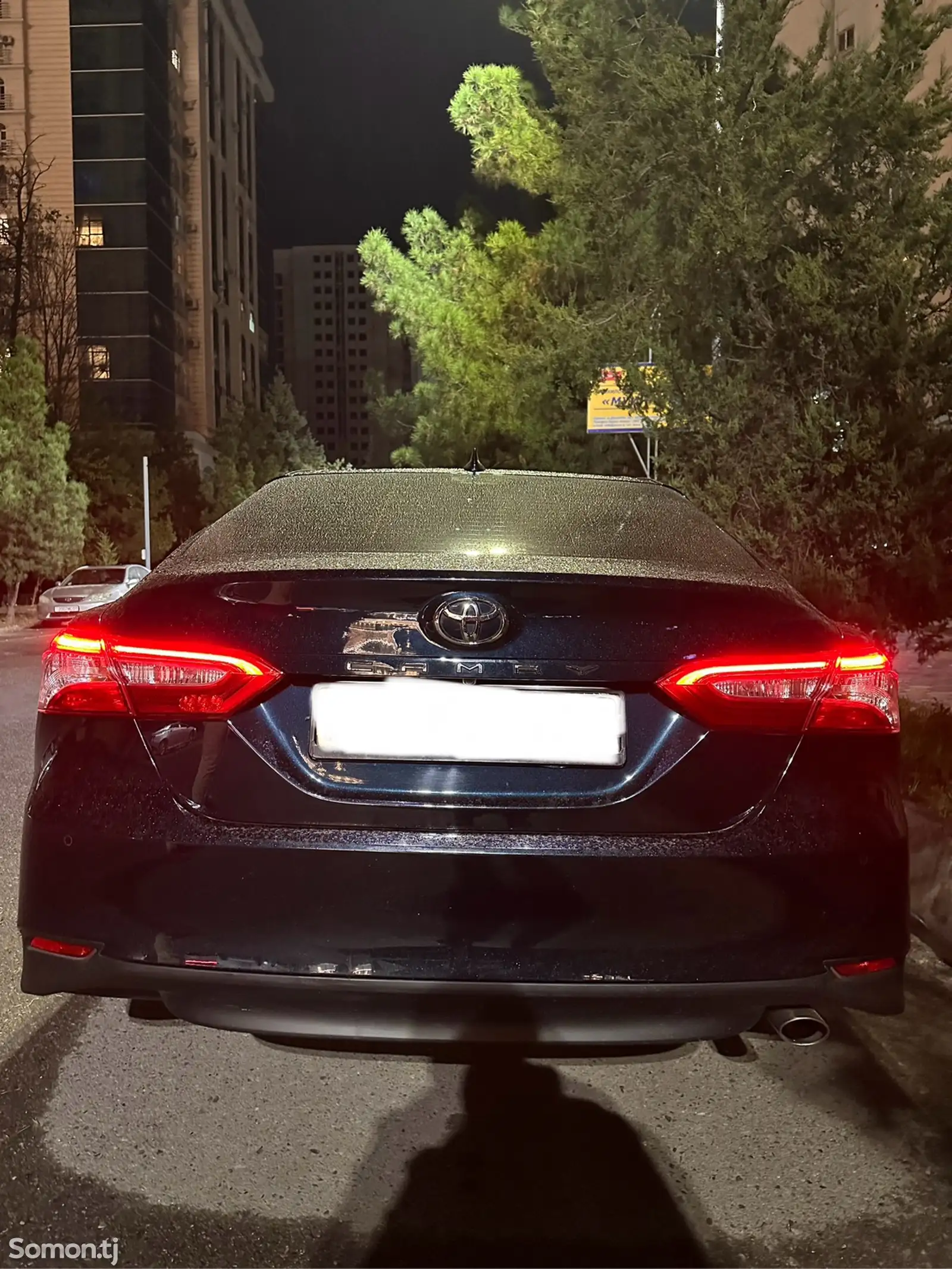 Toyota Camry, 2019-3