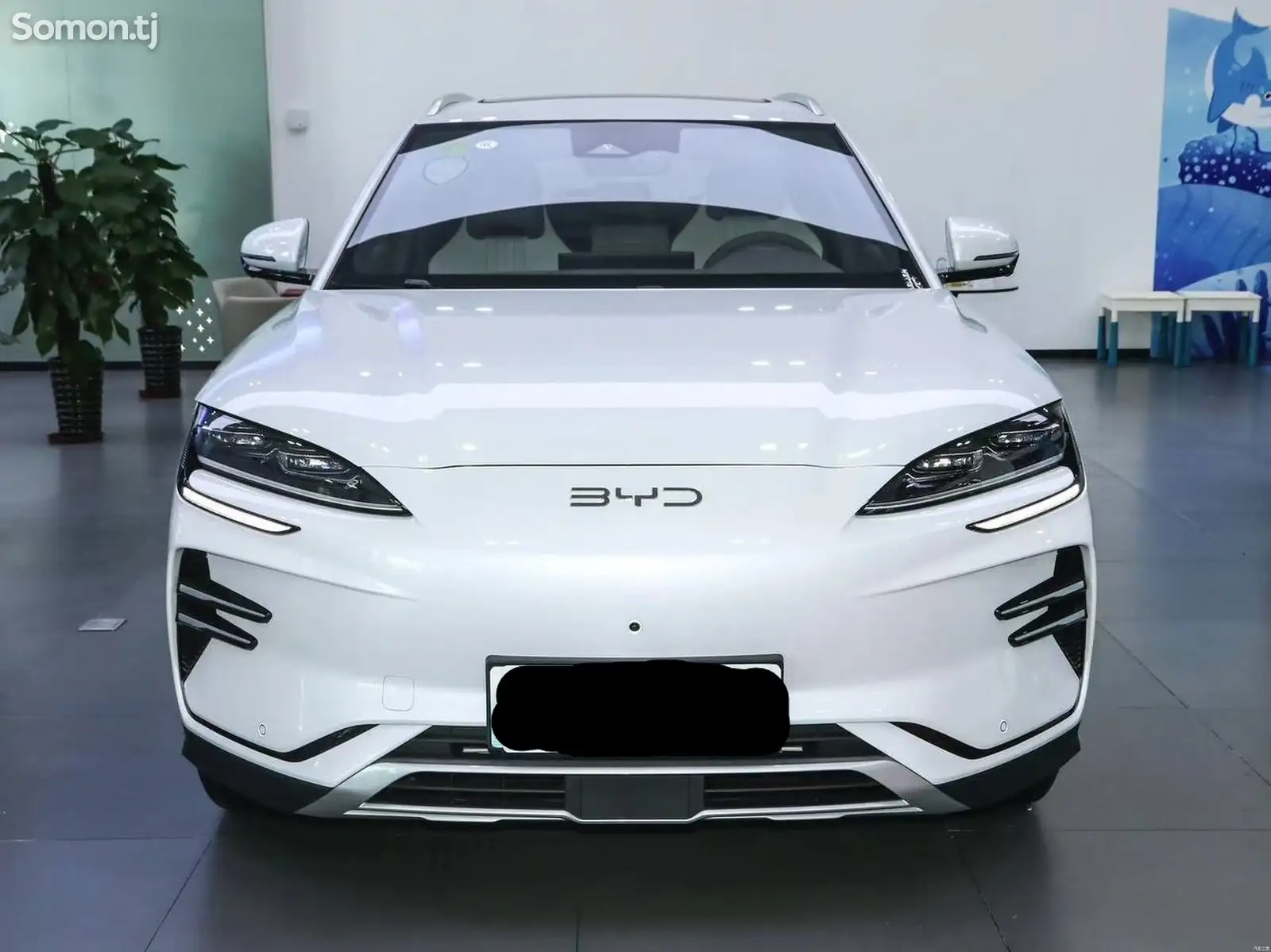 BYD Song Plus, 2024-1