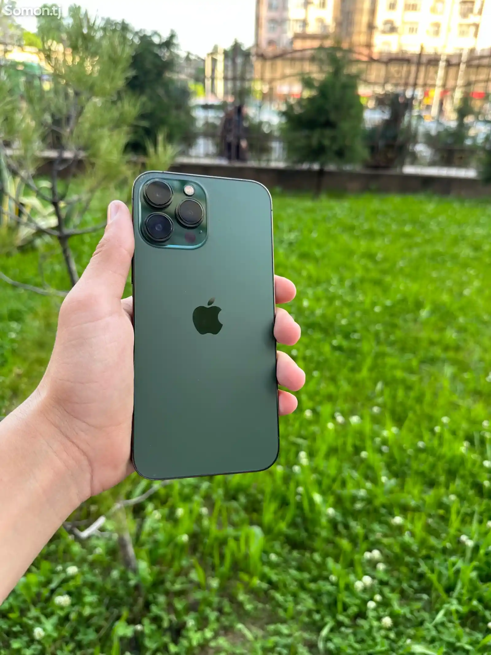 Apple iPhone 13 Pro Max, 128 gb, Alpine Green-2