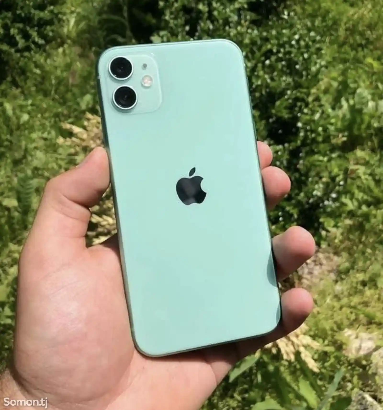 Apple iPhone 11, 64 gb, Green-2