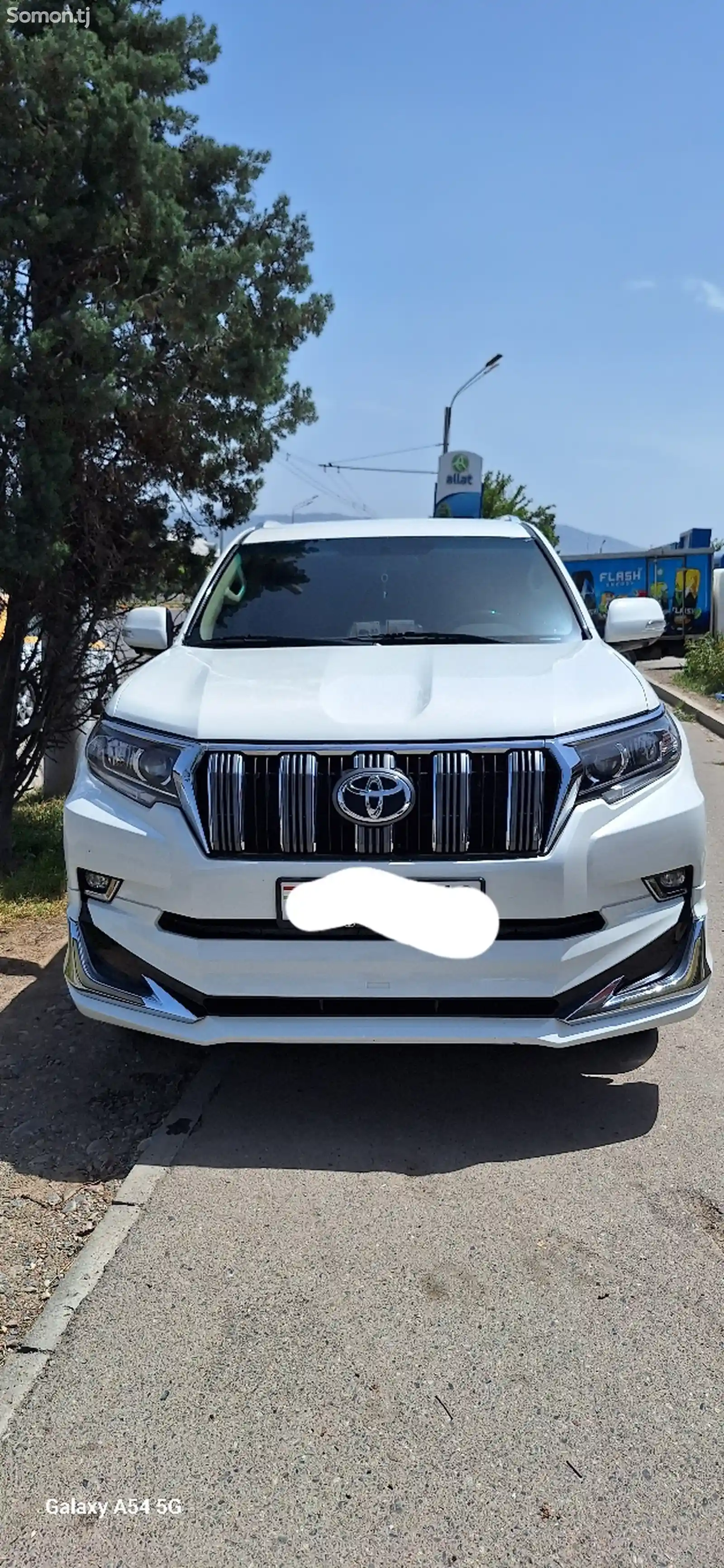 Toyota Land Cruiser Prado, 2010-1