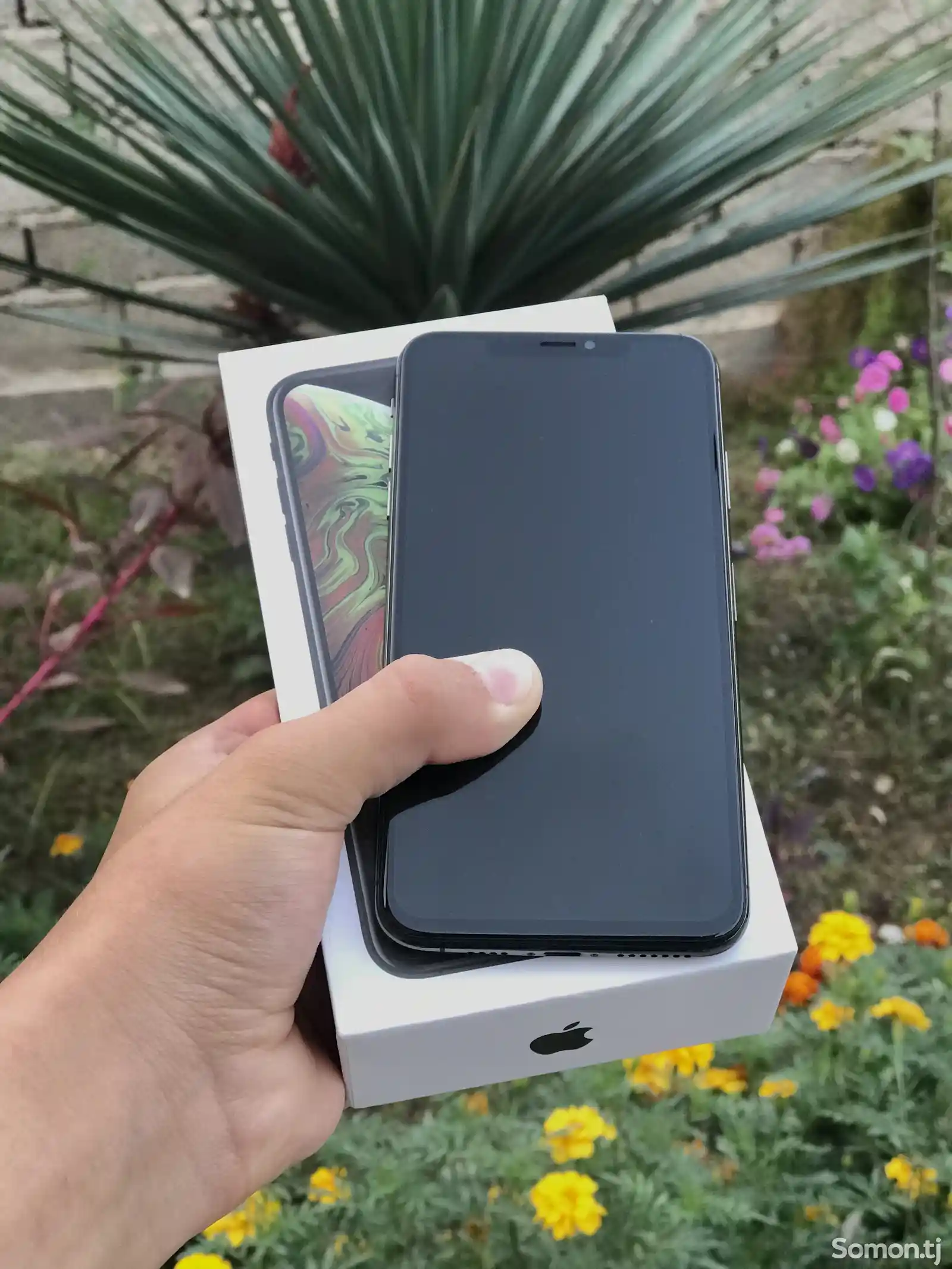 Apple iPhone Xs Max, 256 gb, Space Grey-2