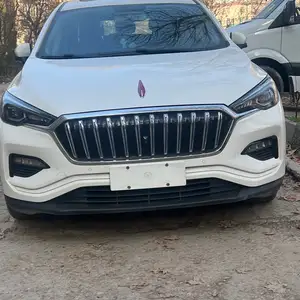 Hongqi E-HS3, 2019