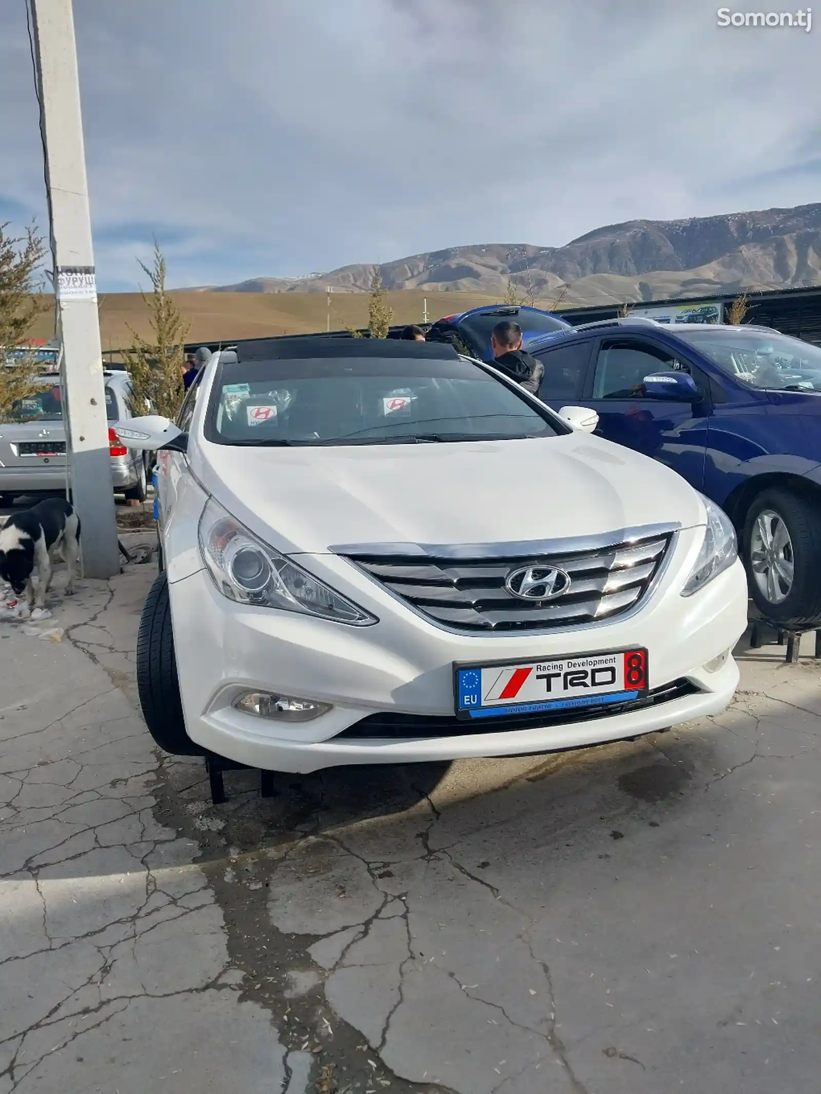 Hyundai Sonata, 2011-7